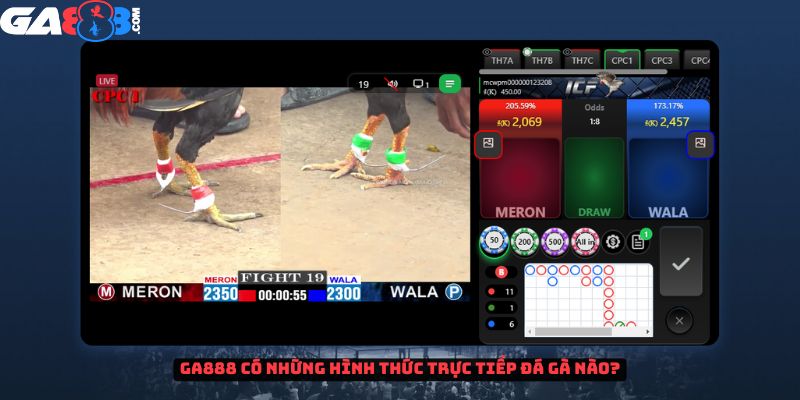 GA888 có những hình thức trực tiếp đá gà nào? 