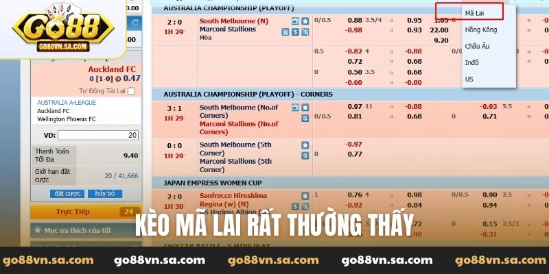 Kèo Mã Lai rất thường thấy